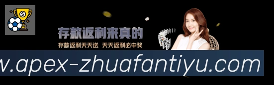 企业概况